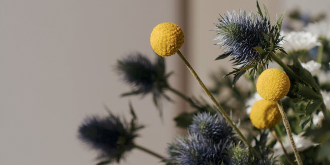 I Beat Myself Up - Addison L. Jones Blog - Blydyn Square Books