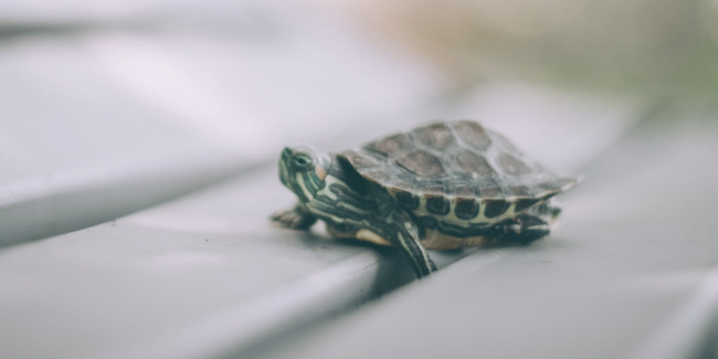 Can't we please speed things up? - Addison L. Jones Blog - Blydyn Square Books