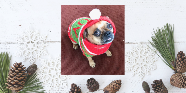 Random Acts of Meanness - Addison L. Jones Blog - Blydyn Square Books