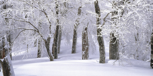 What a Difference A Week Makes - Addison L. Jones Blog - Blydyn Square Books