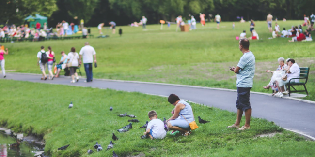 Observations - Addison L. Jones Blog - Blydyn Square Books