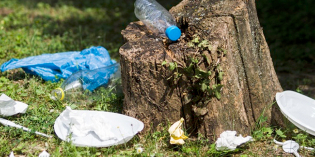 Taking Pride in the Little Things - Addison L. Jones Blog - Blydyn Square Books