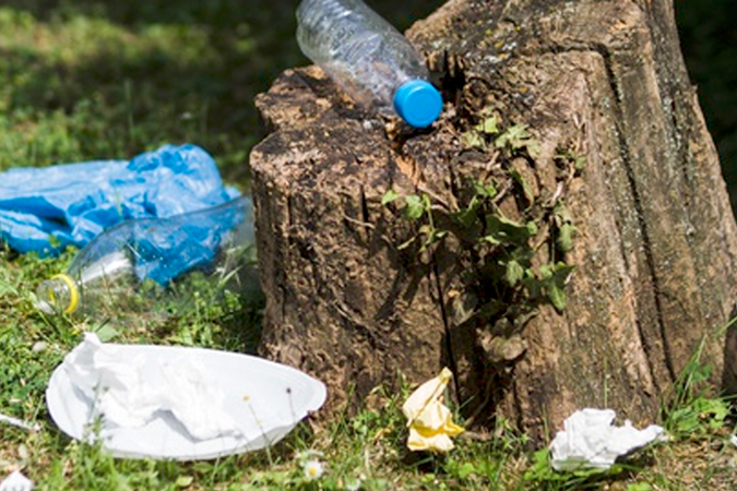 Taking Pride in the Little Things - Addison L. Jones Blog - Blydyn Square Books