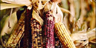 Thanksgiving November 2020