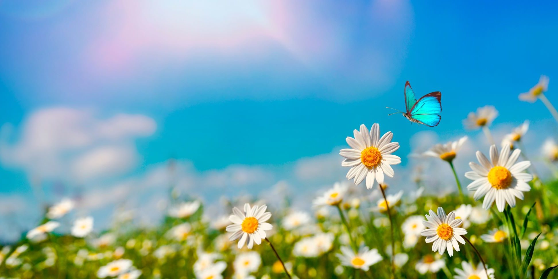 April 2021 Newsletter – Blydyn Square Books