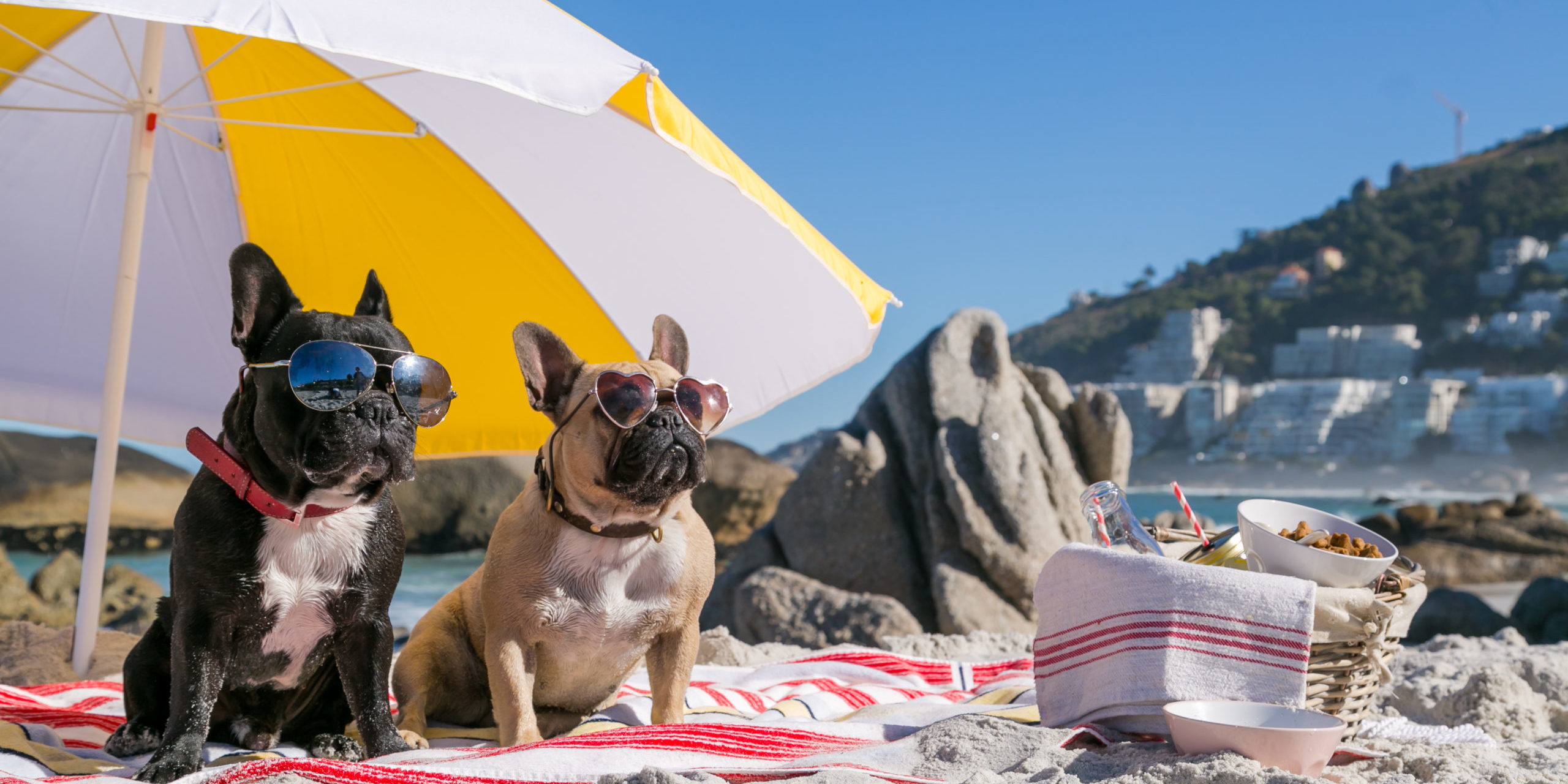 August 2021 Newsletter – Blydyn Square Books