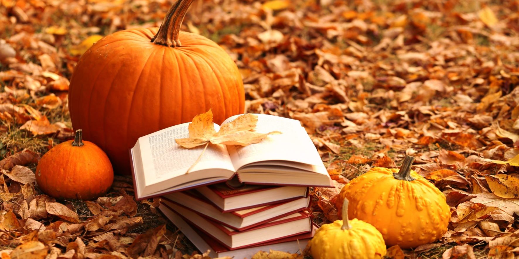 October 2021 Newsletter – Blydyn Square Books
