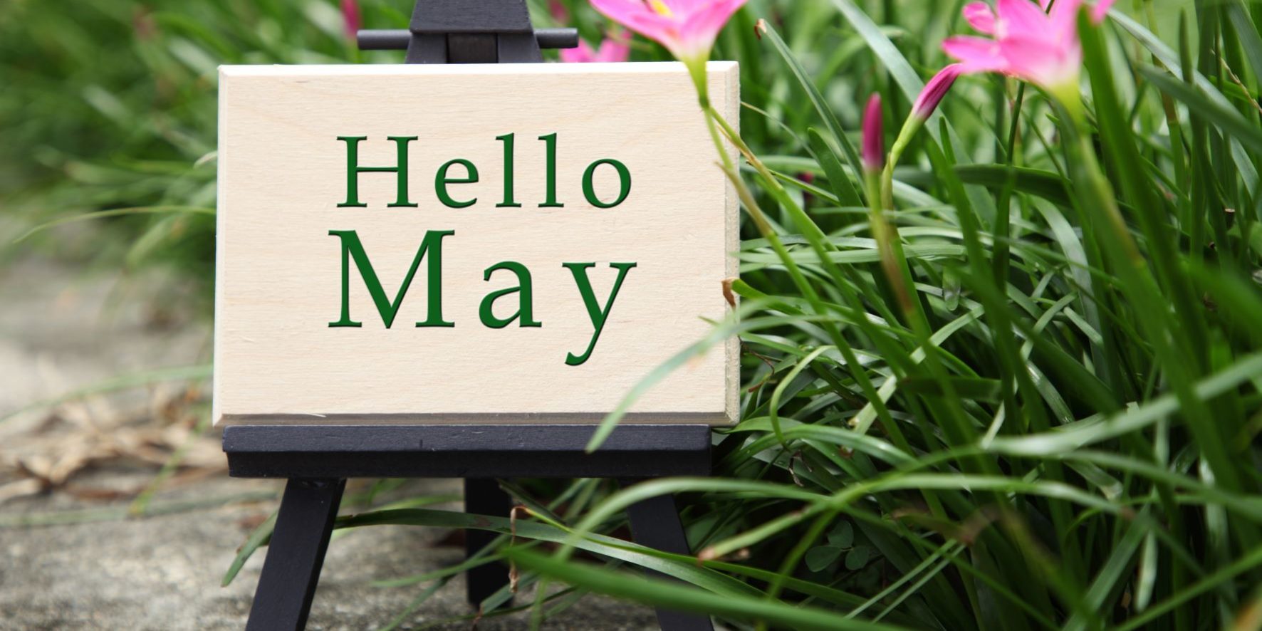 Hello May, May Newsletter – Blydyn Square Books