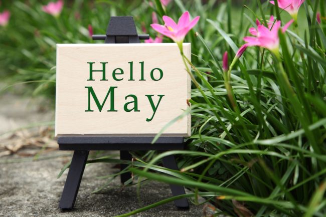 Hello May, May Newsletter – Blydyn Square Books